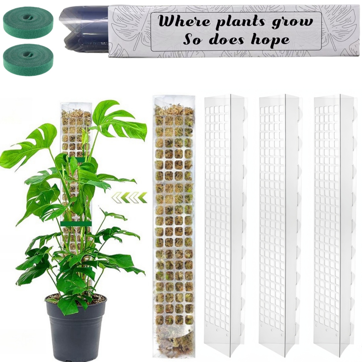Indoor Herb Garden - 苔ポールプラスチック植物スタンド屋内登山植物ガーディアン家庭教師ポット苔スティック植物の成長のためのガーデンサポートアクセサリー