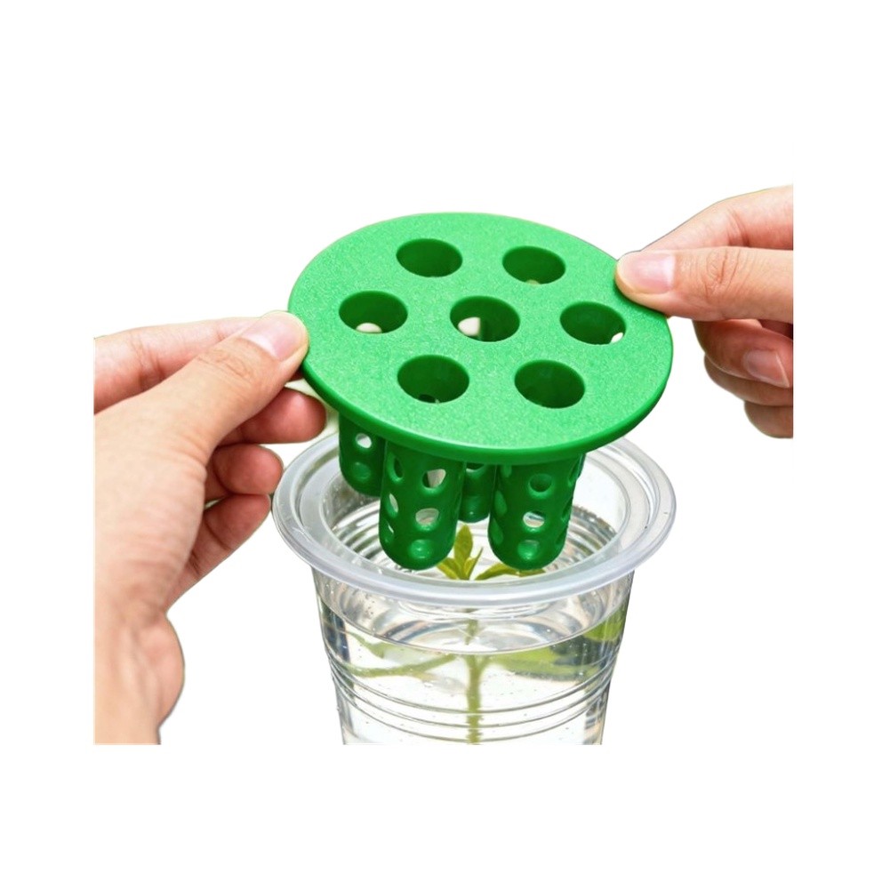 Hydroponic Kit - 4個入りネギ再生発芽キット：窓辺用ネギ栽培容器/プランター 透明で再利用可能/水耕栽培用