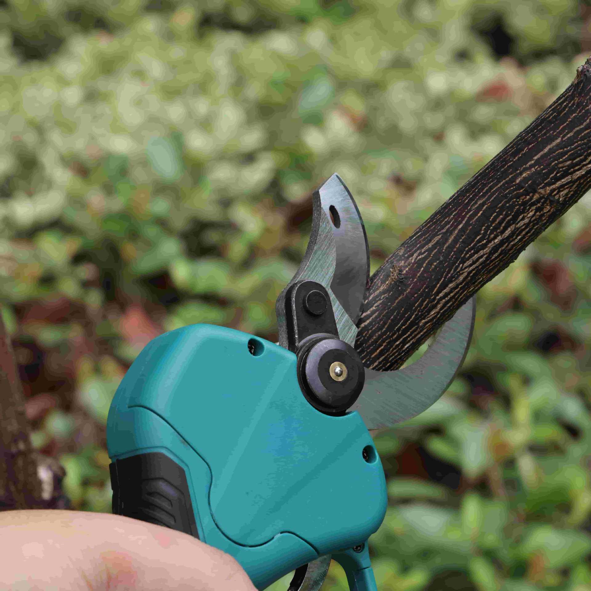 高枝剪定鋏 リチウム電池式電動園芸工具 剪定ばさみ 果樹の高 - Pruning Shears のレビューと価格