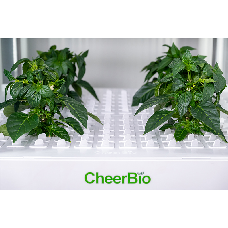 新登場！インテリジェント栽培システム、屋内スマートガーデン、 - Hydroponic Kit のレビューと価格