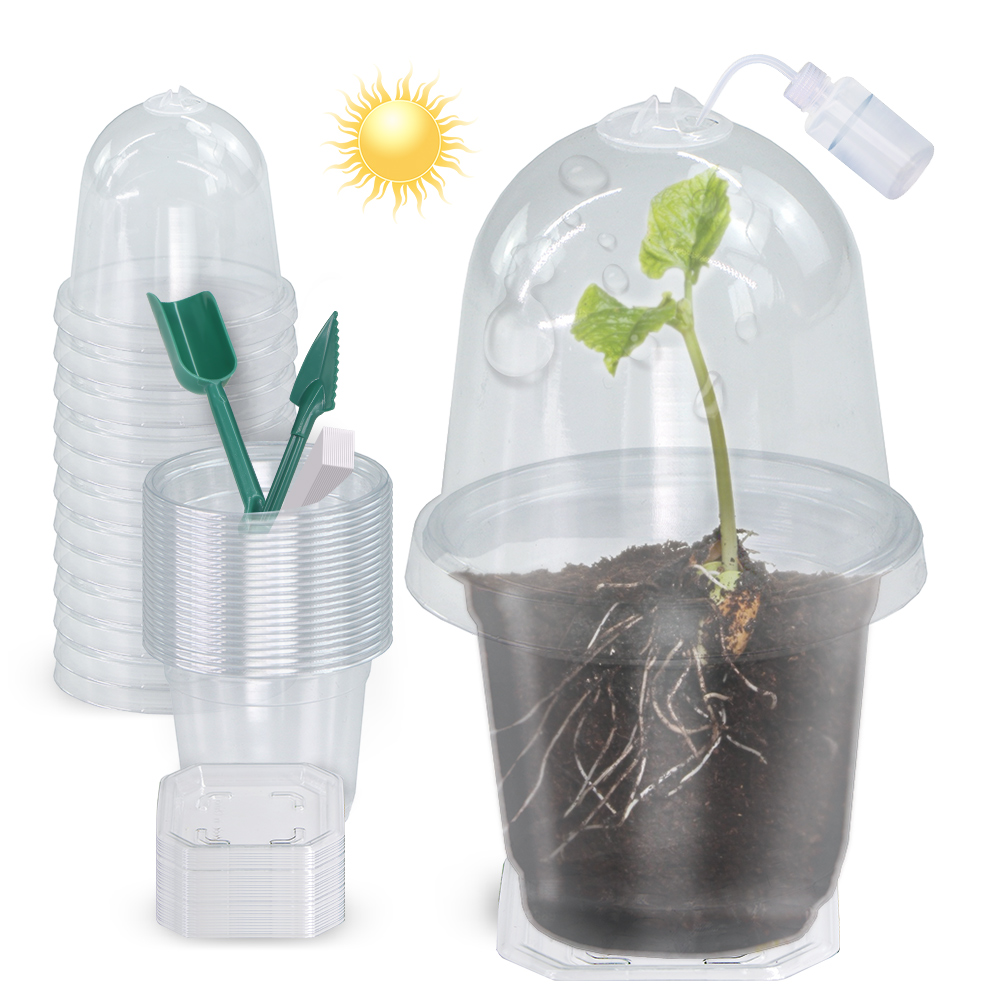 160x90CM 目に見える透明な植物発芽カップ 透明プラス - Seed Starter Tray のレビューと価格