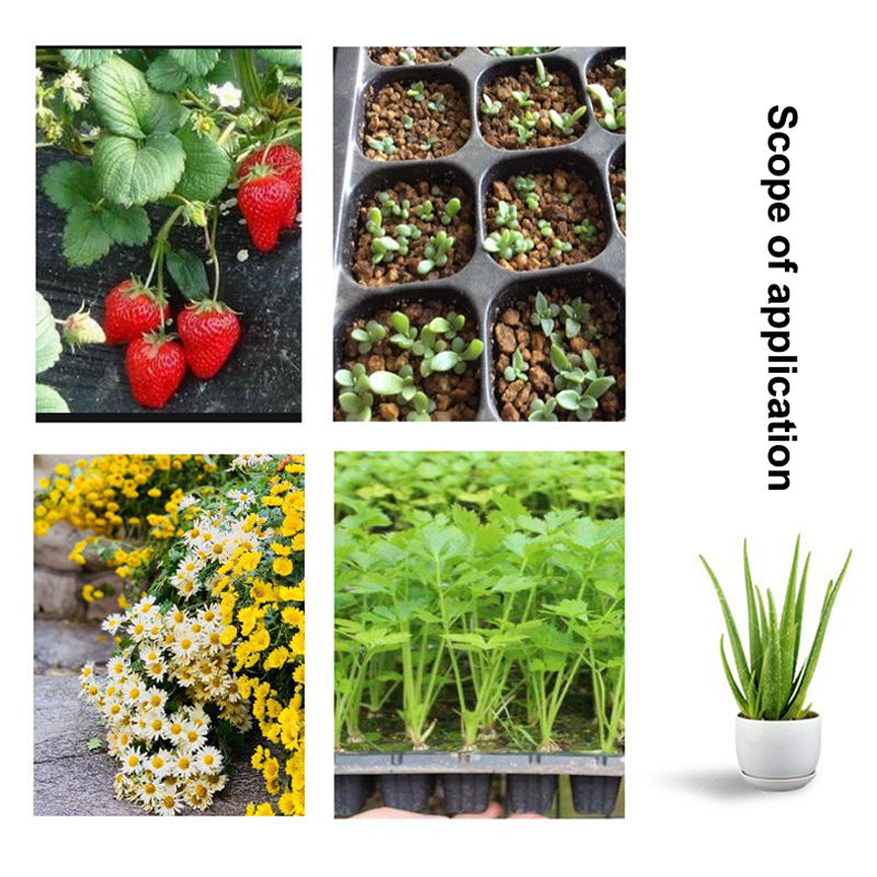 ホット10個入り苗トレイプラスチック園芸発芽トレイ黒色苗容器 - Seed Starter Tray のレビューと価格
