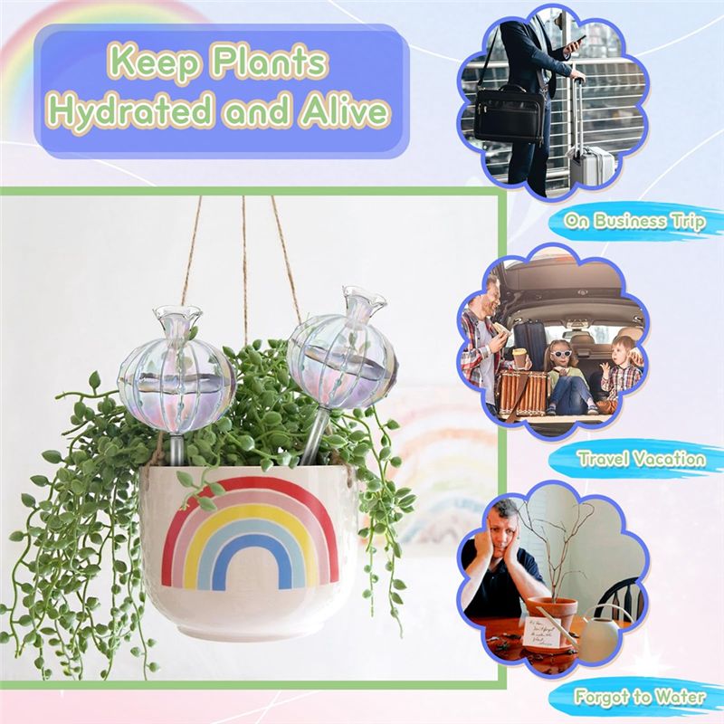 AA94-植物用自動給水球、ガラス製サボテン用自動給水プラン - Self Watering Planter のレビューと価格