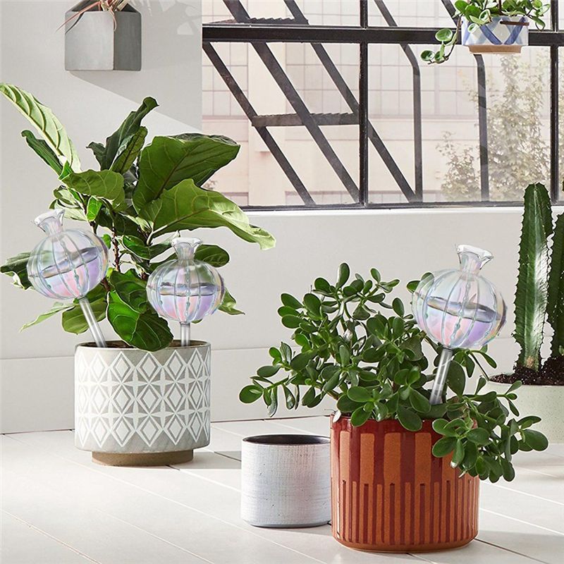 AA94-植物用自動給水球、ガラス製サボテン用自動給水プラン - Self Watering Planter のレビューと価格